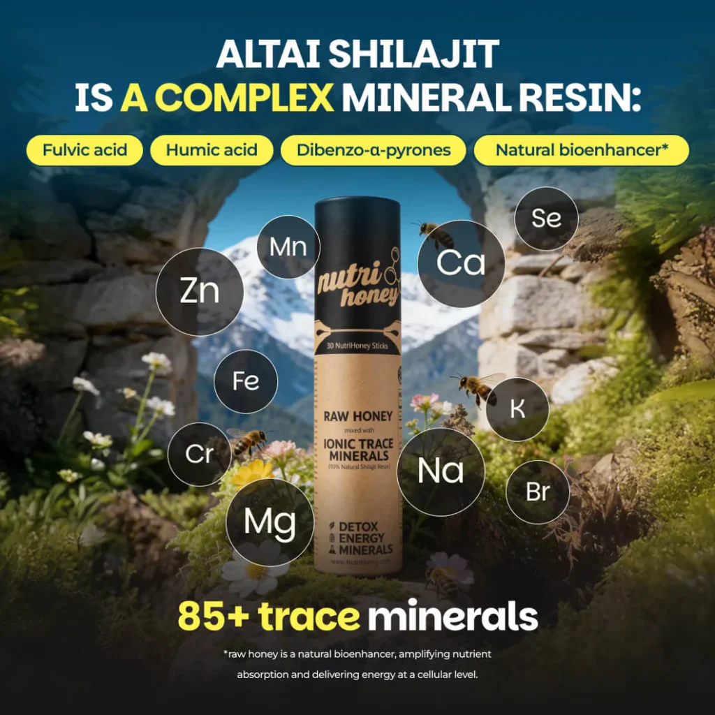 Best Himalayan Shilajit Brands in 2026 (Tested & Ranked) hng nutrihoney 30 sticks 3 1060x
